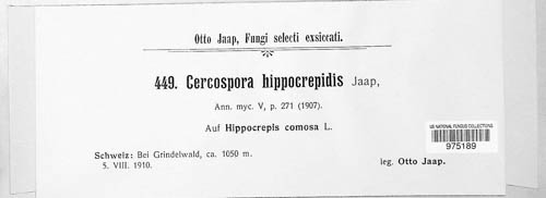 Cercospora hippocrepidis image